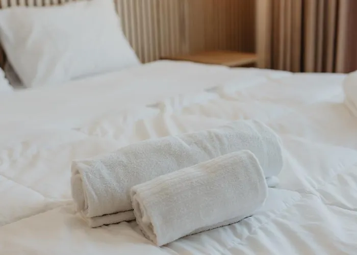 Bolhao Downtown Apartment *